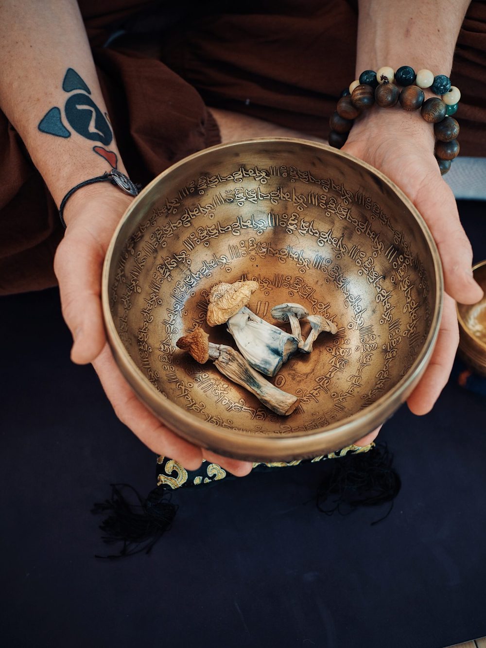 Hands holding a singing bowl with dried mushrooms